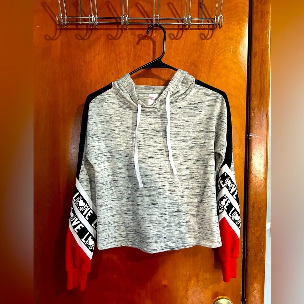 Grey Sweeter with Hoodie Brand
